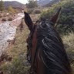 Meet your Posher, Tracy